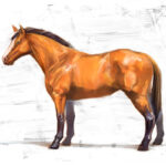 HorsePainting