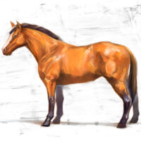 HorsePainting